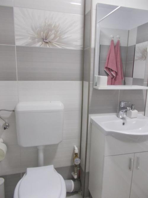 Apartament Tanya トゥルゴヴィシュテ エクステリア 写真